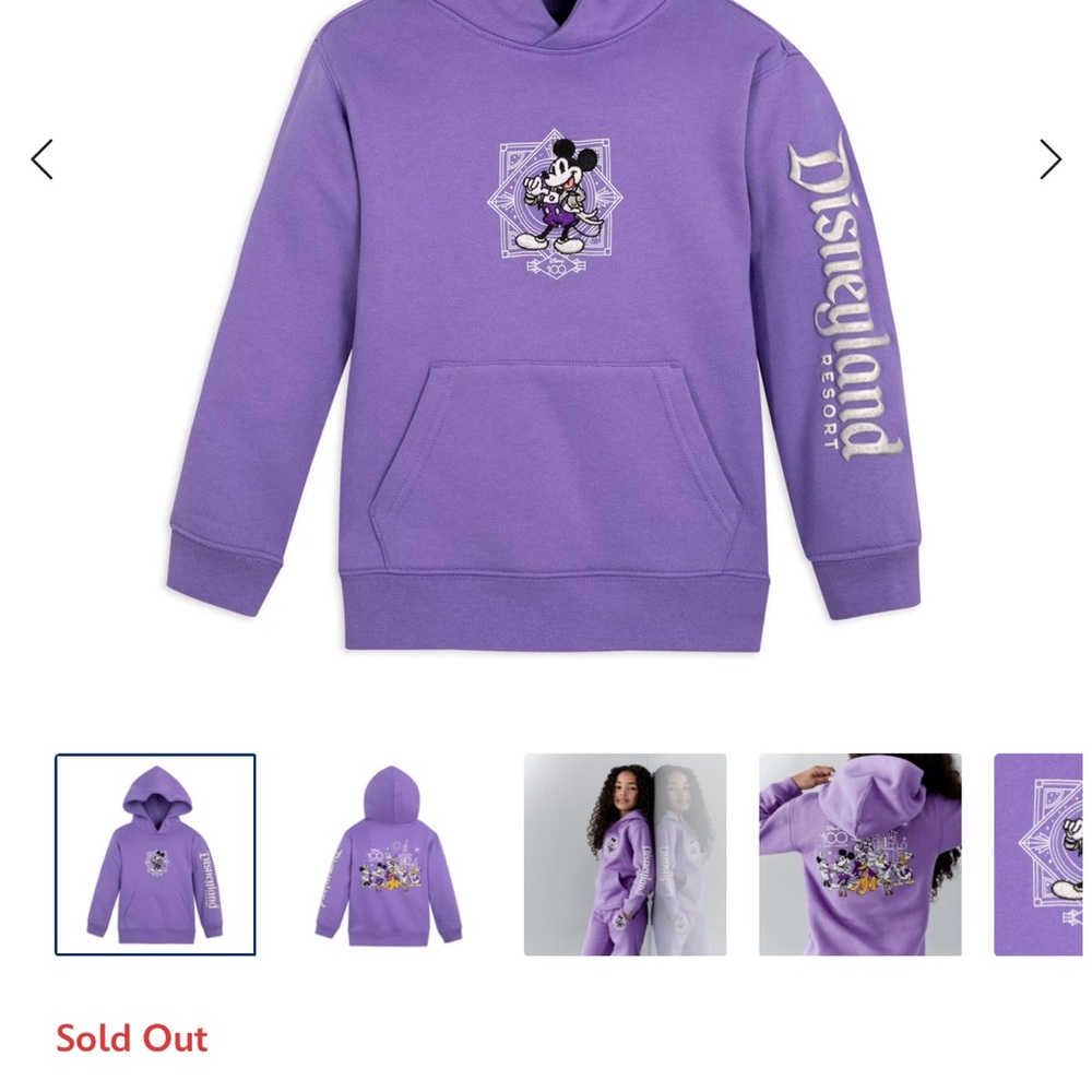 Disneyland resort 100 years of wonder embroidered sweatshirt/ hoodie